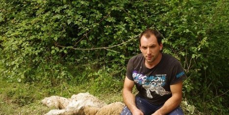 Escot (64) : l’éleveur qui voulait protester contre les attaques de vautours sera jugé | Pastoralisme Ours Loups Lynx | Scoop.it