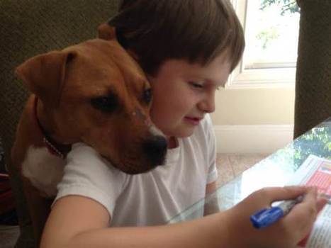 Dog of the year helps 8-year-old boy with autism find his voice | Heart_Matters - Faith, Family, & Love - What Really Matters! | Scoop.it