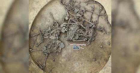 Il y a 6 000 ans, des captifs ont été massacrés en Alsace lors de sanglantes célébrations préhistoriques | Alsace Actu | Scoop.it
