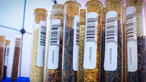 EU agriculture MEPs vote to exempt ‘old varieties’ from seed marketing rules | Questions de développement ... | Scoop.it