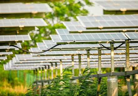 Monter un parc solaire citoyen sans soutien public : mode d'emploi | Energies Renouvelables | Scoop.it