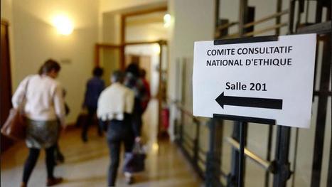 Bio&eacute;thique : &laquo;Le CCNE ne restitue pas fid&egrave;lement la teneur des &eacute;tats g&eacute;n&eacute;raux&raquo; | Bio&eacute;thique & Procr&eacute;ation | Scoop.it