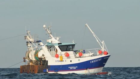 Confinement : la pêche reprend en Normandie et les pêcheurs vous attendent ! | HALIEUTIQUE MER ET LITTORAL | Scoop.it
