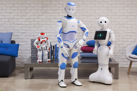 Un robot au service des personnes &acirc;g&eacute;es ? | e-Sant&eacute;, Objets Connect&eacute;, Senior 3.0, Silver Economie, D&eacute;pendance N.0! | Scoop.it