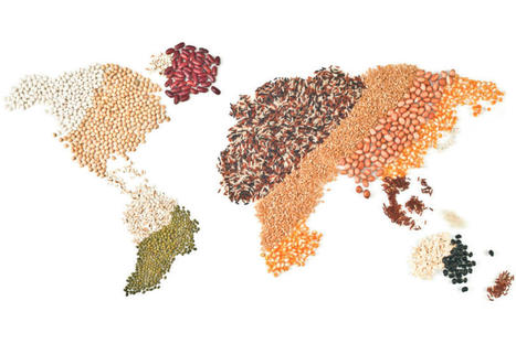 MED-Amin: Webinar on 2021 grains market prospects for the Mediterranean region (May 5) | CIHEAM Press Review | Scoop.it
