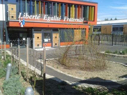 Natureparif prend l’éco-école de Rosny-sous-Bois comme un modèle d’intégration de la biodiversité dans le bâti | Biodiversité | Scoop.it