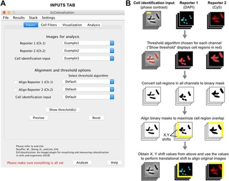 EzColocalization: An ImageJ plugin for visualiz...