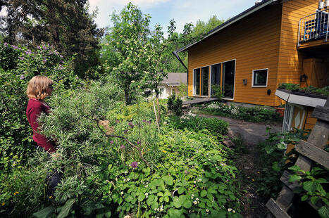 Sormet hiiless&auml; &ndash; puutarhassakin voi torjua luontokatoa ja sitoa hiilt&auml; | 1Uutiset - Lukemisen t&auml;hden | Scoop.it