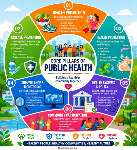 Public Health Pillars: Health Promotion Disease Prevention Health Protection | Hamid Noori posted on the topic | H&eacute;sitations Vaccinales: Observatoire HESIVAXs | Scoop.it