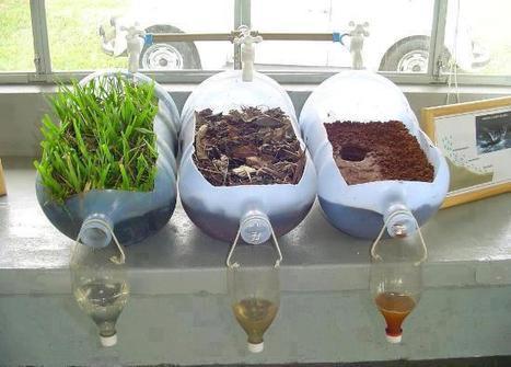domestic natural experiment | Eco-Friendly Lifestyle | Scoop.it