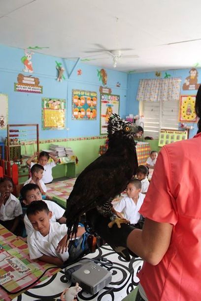 Belize Raptor Center Inspires | Cayo Scoop!  The Ecology of Cayo Culture | Scoop.it