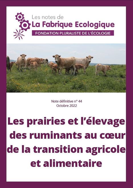 Les prairies et l’élevage des ruminants au cœur de la transition agricole et alimentaire - CDURABLE.info | Agriculture et Alimentation Durable Méditerranéenne | Scoop.it