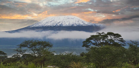 75% of Kilimanjaro’s natural plants have been wiped out – and climate change isn’t the biggest threat | Ecosystèmes Tropicaux | Scoop.it