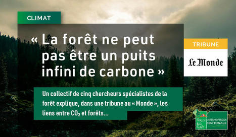 Climat : « La forêt ne peut pas être un puits infini de carbone » | Forêt, Bois, Milieux naturels : Interactions Enseignement supérieur - Organisations - Recherche | Scoop.it