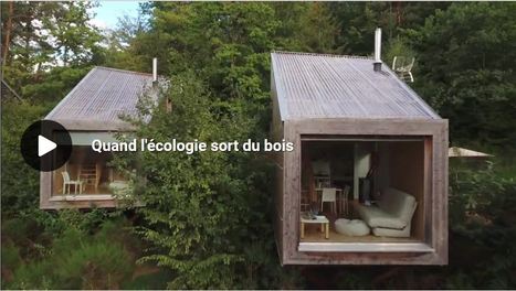 Documentaire : Quand l'écologie sort du bois | La SELECTION du Web | CAUE des Vosges - www.caue88.com | Scoop.it
