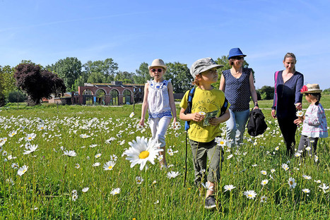 Enquête : zéro pesticides en espaces verts ? | ESPACES VEGETALISES URBAINS | Scoop.it