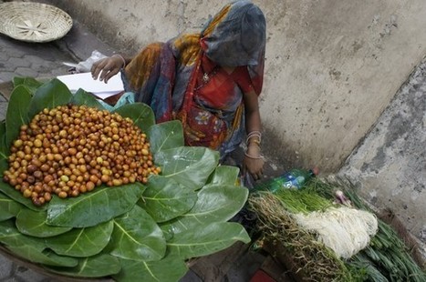 Traditional Ecological Knowledge, Anthropology and Climate Change | Vintage Living Today For A Future Tomorrow | Scoop.it
