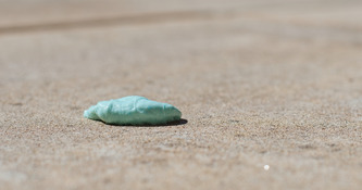 Loi Ddadue&nbsp;: les s&eacute;nateurs retouchent les dispositions &laquo;&nbsp;&eacute;conomie circulaire&nbsp;&raquo; | Environnement - D&eacute;veloppement durable - Climat | Scoop.it