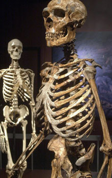 Humans, Neanderthals got it on | Think outside the Box | Scoop.it