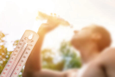 Canicule : les Fran&ccedil;ais d&eacute;pensent diff&eacute;remment sous les fortes chaleurs | Albi - Veille e-tourisme | Scoop.it