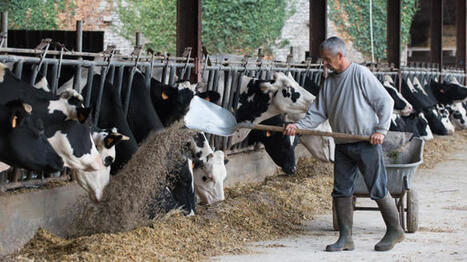 L&rsquo;alimentation animale confront&eacute;e &agrave; la p&eacute;nurie et au co&ucirc;t des mati&egrave;res premi&egrave;res | SCIENCES DE L' ANIMAL | Scoop.it
