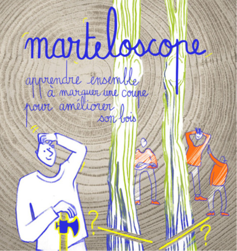 Apprendre à marquer ses coupes de bois avec l’outil du marteloscope | Vallées d'Aure & Louron - Pyrénées | Scoop.it