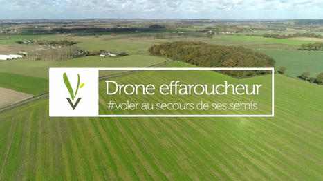 Drone effaroucheur : voler au secours de ses semis - Végétal village | Pour innover en agriculture | Scoop.it