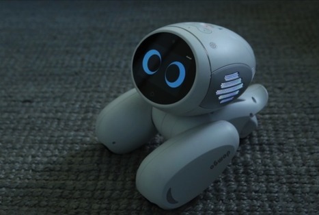 Domgy - Le robot de compagnie imaginé par Roobo | Hightech, domotique, robotique et objets connectés sur le Net | Scoop.it