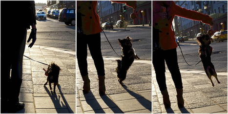 The X-Pro1 OVF proves it self | Fujifilm X Series APS C sensor camera | Scoop.it