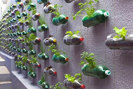 Soda Bottles Plant Pots | Landart, art environnemental | Scoop.it