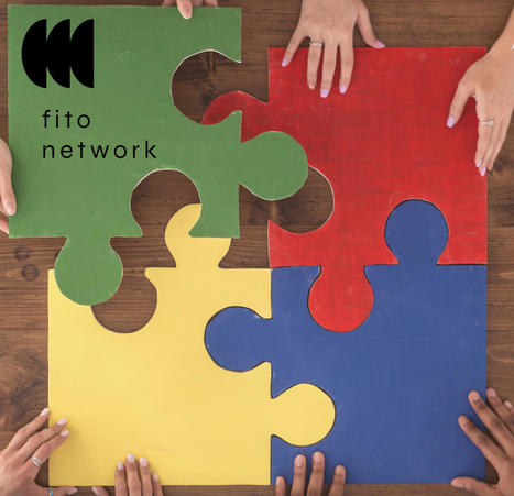 In Sesotho, "fito" means “joining diverse pieces to make one powerful effort”. Fito Networks in South Africa aims at exactly that — | networks and network weaving | Scoop.it