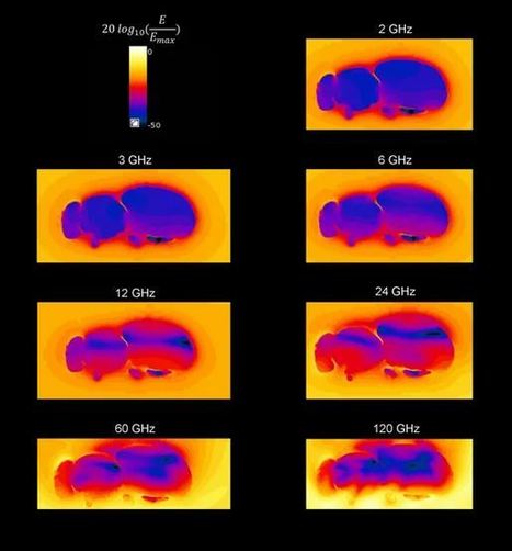 La 5G est-elle dangereuse pour notre santé ? | EntomoNews | Scoop.it