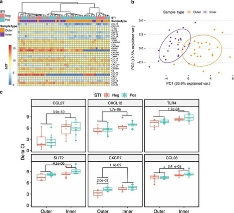 Impact of chemokine C&ndash;C ligand 27, foreskin anatomy and sexually transmitted infections on HIV-1 target cell availability in adolescent South African males | Mucosal Immunity | Scoop.it