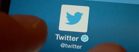 Twitter Drops Huge Hint of E-Commerce Plans | Public Relations & Social Marketing Insight | Scoop.it