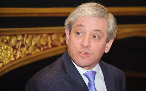 Revealed: Ukip plan to oust Bercow - Telegraph | Health and safety at work | Scoop.it