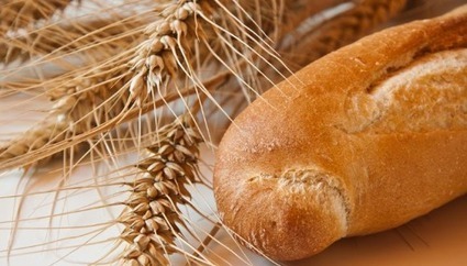 Sécurité alimentaire et Covid-19 : risque élevé en Algérie, faible au Maroc et en Tunisie (FAO) | MED-Amin network | Scoop.it