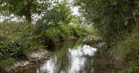 Pesticides, sécheresses : menaces sur l’eau potable | Les Colocs du jardin | Scoop.it