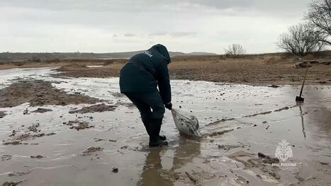 Russie: la saison touristique en mer Noire perturbée par la pollution causée par le naufrage de deux pétroliers / le 18.04.2025 | Pollution accidentelle des eaux (+ déchets plastiques) | Scoop.it