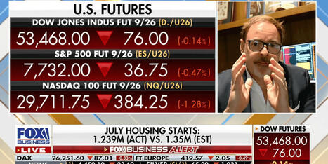&lsquo;Red flashing signals&rsquo; flagged on Fox Business as Trump economy mirrors historic crash - Raw Story | Backstabber Watch | Scoop.it