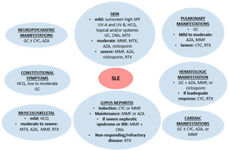 JCM | Free Full-Text | Targeted Therapy for SLE&mdash;What Works, What Doesn&rsquo;t, What&rsquo;s Next | AUTOIMMUNITY | Scoop.it