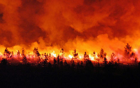 Etats-Unis - Les incendies de forêt sont 4 fois plus importants et 3 fois plus fréquents depuis 20 ans ! | Biodiversité | Scoop.it