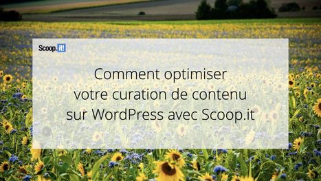 Comment optimiser votre curation de contenu sur WordPress avec Scoop.it - Blog Scoop.it France | Mon site web : Scoop.it | Scoop.it