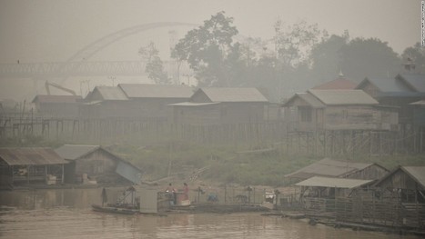 SE Asia air pollution deaths could triple, report says | Air Quality | Scoop.it