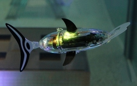 Robotswim, specialist in designing mini autonomous robot fish. | Complex Insight  - Understanding our world | Scoop.it