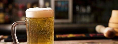 Leffe, Desperados, Heineken, quelles sont les marques d'alcool pr&eacute;f&eacute;r&eacute;es des Millennials ? | Generation Z Marketing | Scoop.it