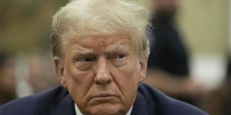 'From the horse's mouth': Legal expert says Trump already admitted to fraud - Raw Story | Backstabber Watch | Scoop.it