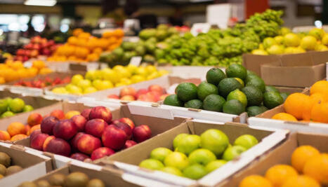 ALIMENTATION : Fruits et l&eacute;gumes : la CANICULE de 2026 va faire flamber vos courses | CIHEAM Press Review | Scoop.it