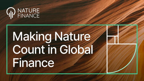 Making Nature Count in Global Finance | BIOECONOMY, Climate-Nature-Finance, Financial Reforms, Economic Reforms, Tax Reforms | Scoop.it