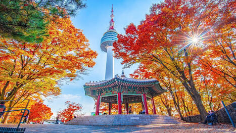 Agoda highlights South Korea's screen tourism boom | South Korean & VietnameseTravellers | Scoop.it