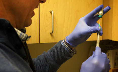 Parents, not doctors or government, should make vaccination decisions &mdash; Contributors &mdash; Bangor Daily News &mdash; BDN Maine | H&eacute;sitations Vaccinales: Observatoire HESIVAXs | Scoop.it